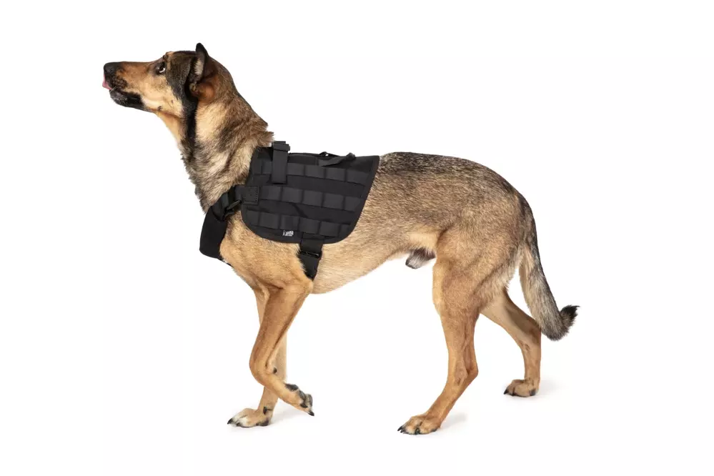 Light dog harness - black